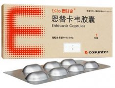 恩甘定恩替卡韦胶囊使用说明书